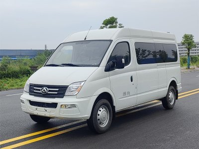 大通V80長軸殯葬服務車